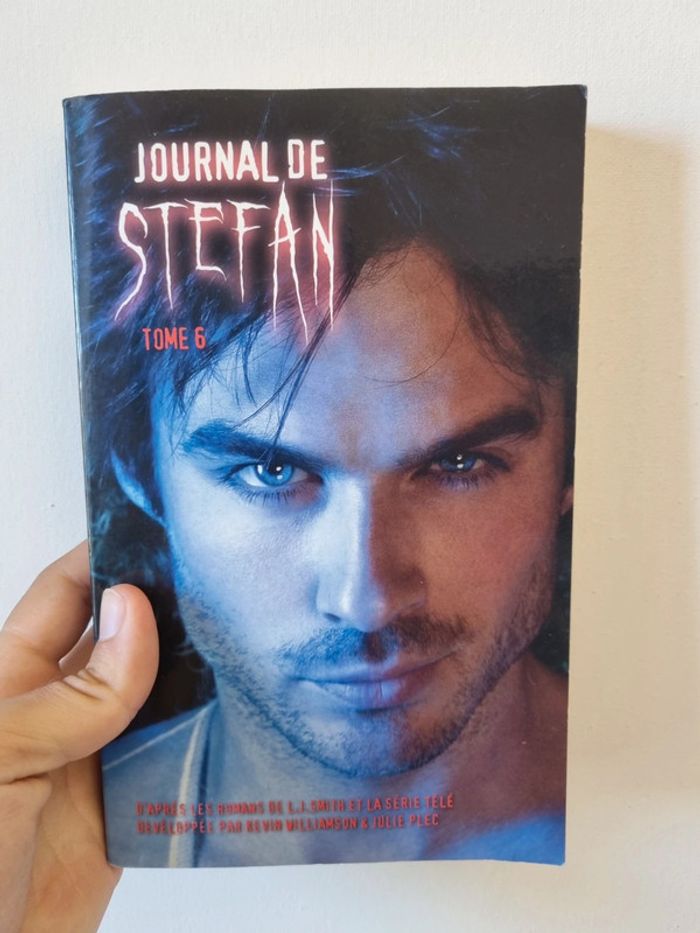 Box Journal de Stefan Tome 6
L.J. Smith + Goodies - photo numéro 2