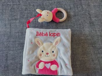 Livre Bébé Lapin