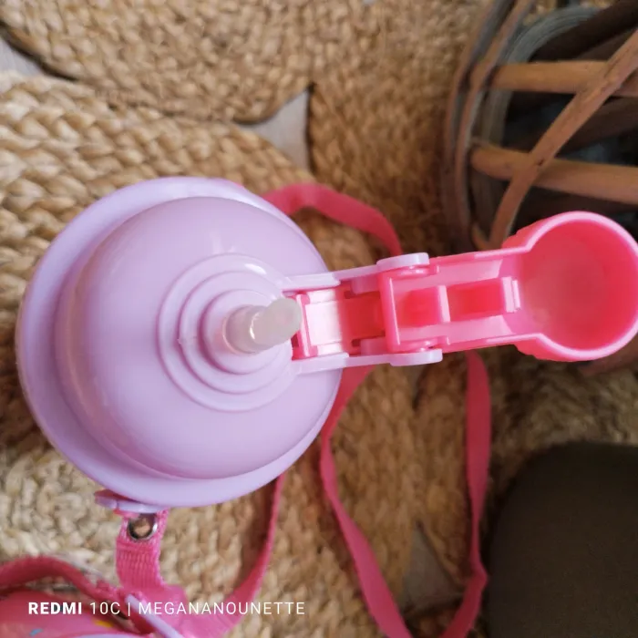 🐶 Lot x2 Gourdes Paw Patrol – Lien de Transport Intégré – Bon État Général - photo numéro 7