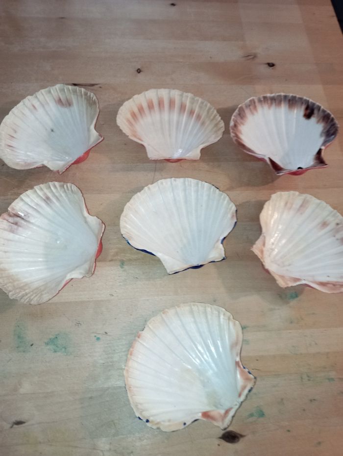 Coquillage de déco - photo numéro 5