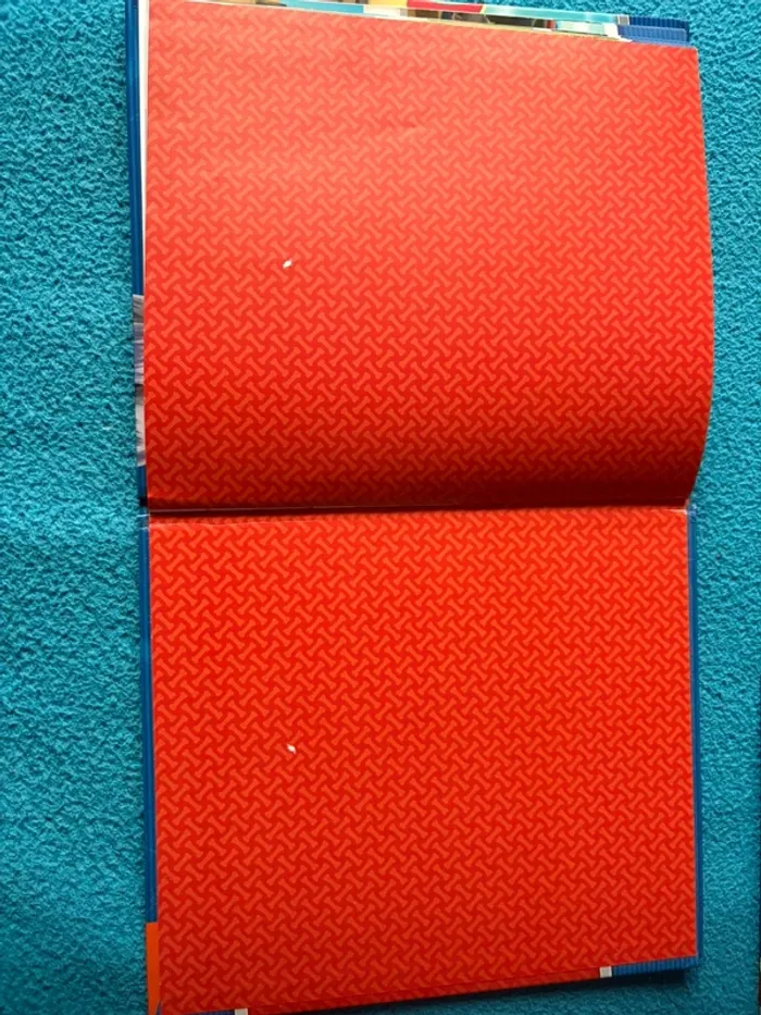 Lot de 4 livres Pat Patrouille - photo numéro 7