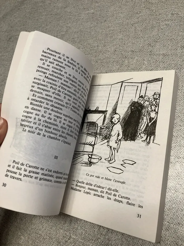 Poil de Carotte – Jules Renard - photo numéro 5