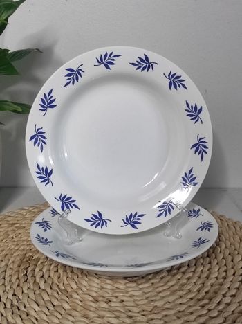 Assiettes creuses feuilles bleue