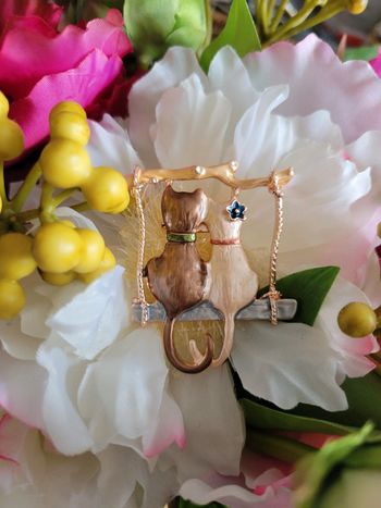 Broche chat et chatte dur da balançoire