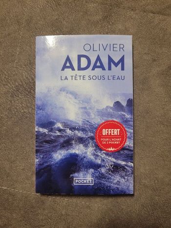La tête sous l'eau par Olivier Adam