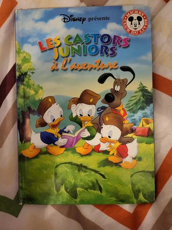 Livre Les castors junior à l'aventure
