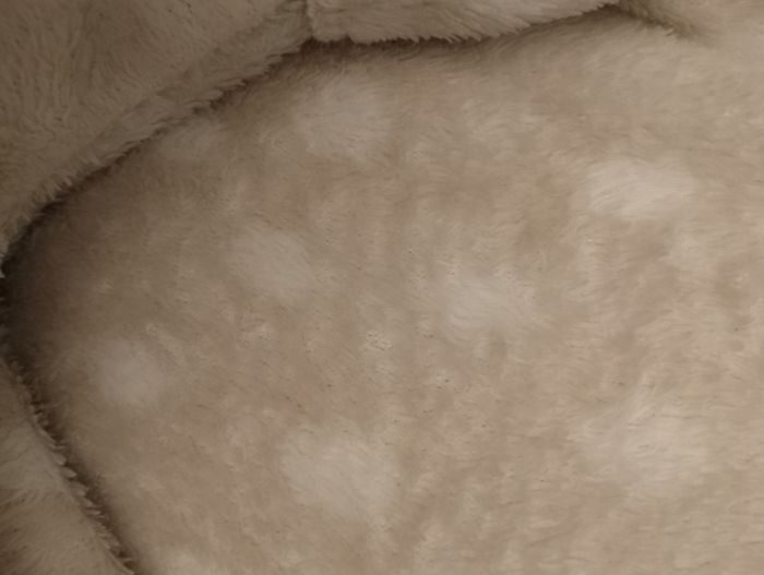 Pyjama 12 mois - photo numéro 5