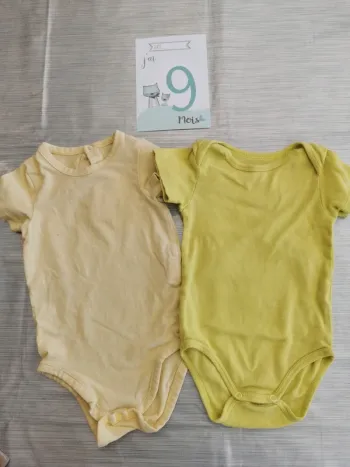 Lot de 2 bodies mixte 9 mois