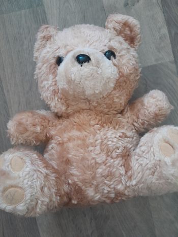 Ours peluche
