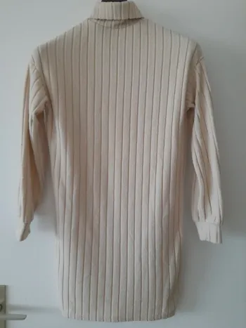 Robe courte et droite à col roulé