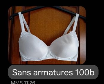 Soutien gorge 100 b