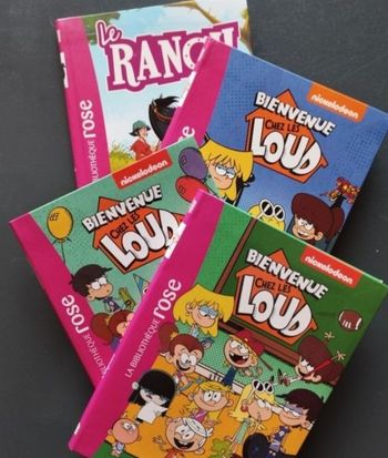 Lot de 4 livres "Bibliothèque Rose" enfant 