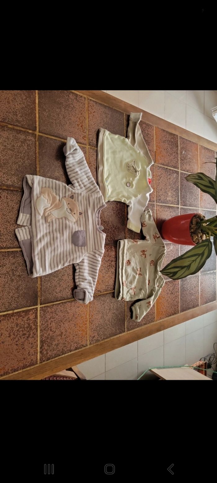 Lot sweat - photo numéro 2