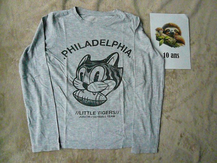 Lot de 2 tee-shirts garçon 10 ans (n°32) - photo numéro 3