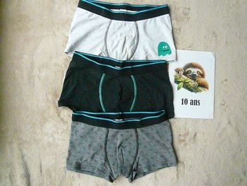 Lot de 3 boxers Taille 10-12 ans (n°5)
