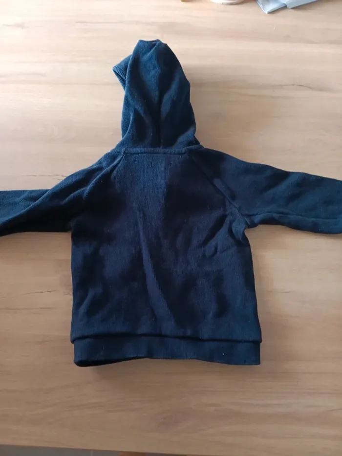 Pull Sweat a capuche 18mois - photo numéro 3