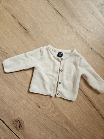 Gilet