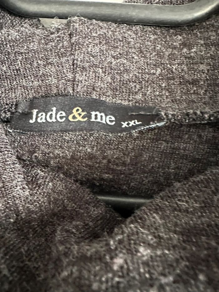 Petit pull gris jade and me taille XXL - photo numéro 3