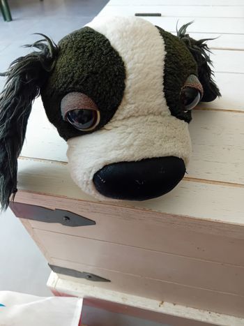 Peluche