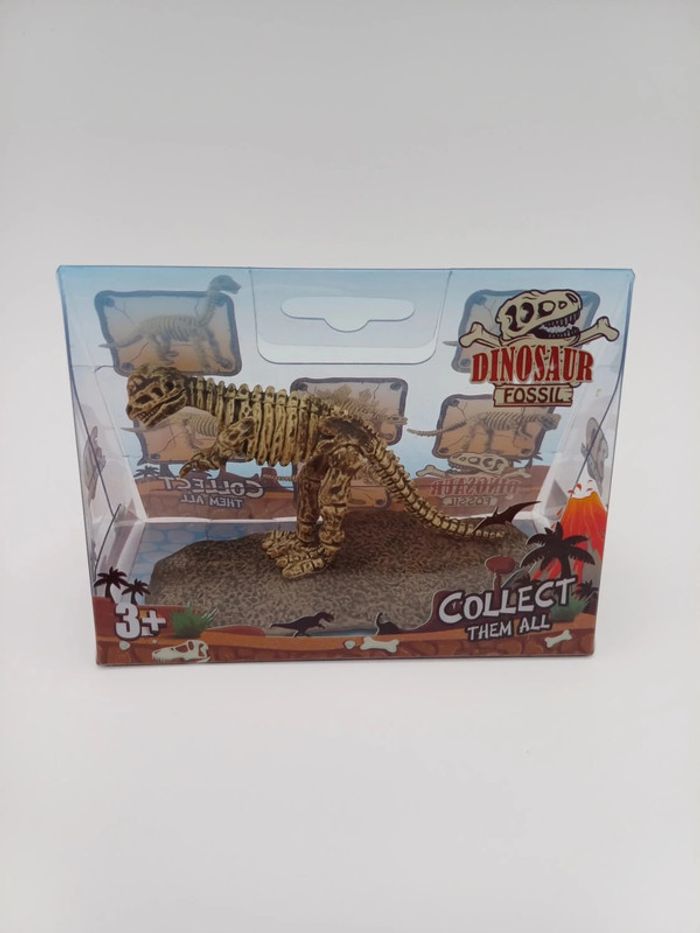 Dinosaur Fossil – Squelette de Dinosaure à Collectionner - photo numéro 5