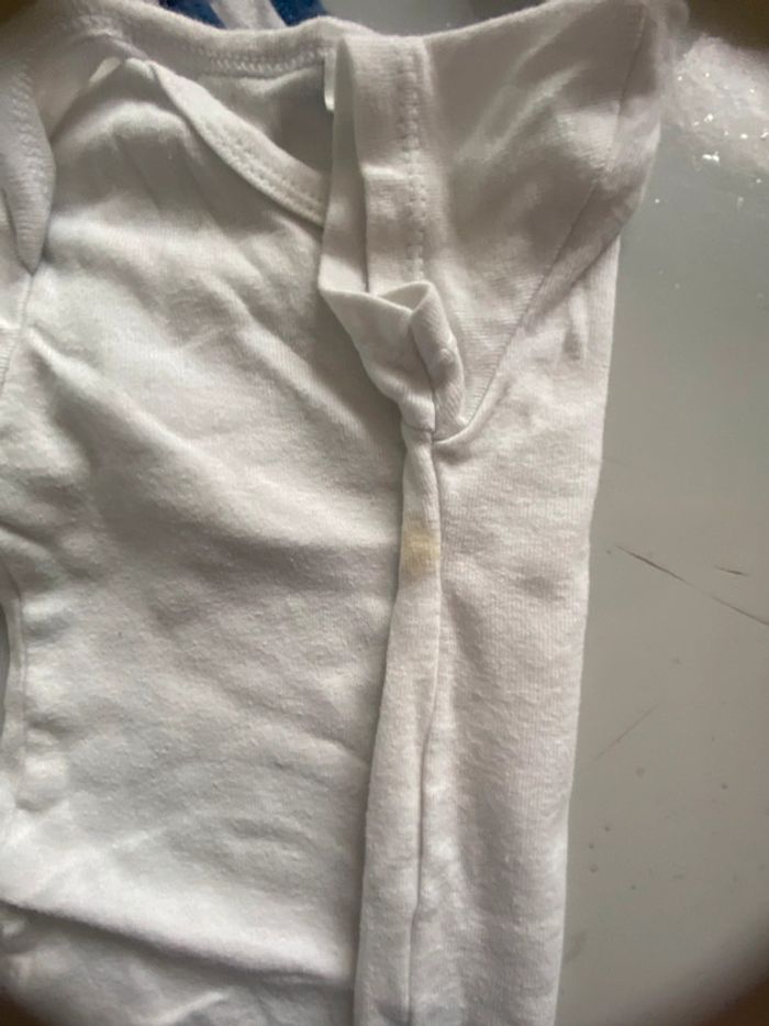 Bodies manches courtes - photo numéro 2