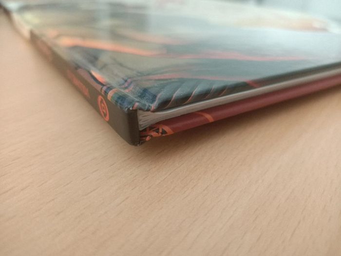 BD L'ogre lion tome 1 : le lion barbare (Bessadi / éditions Drakoo) - photo numéro 3