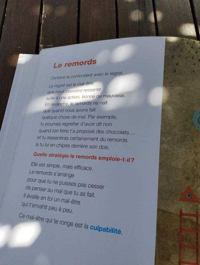 Au fil des émotions. Dis ce que tu ressens. - photo numéro 3