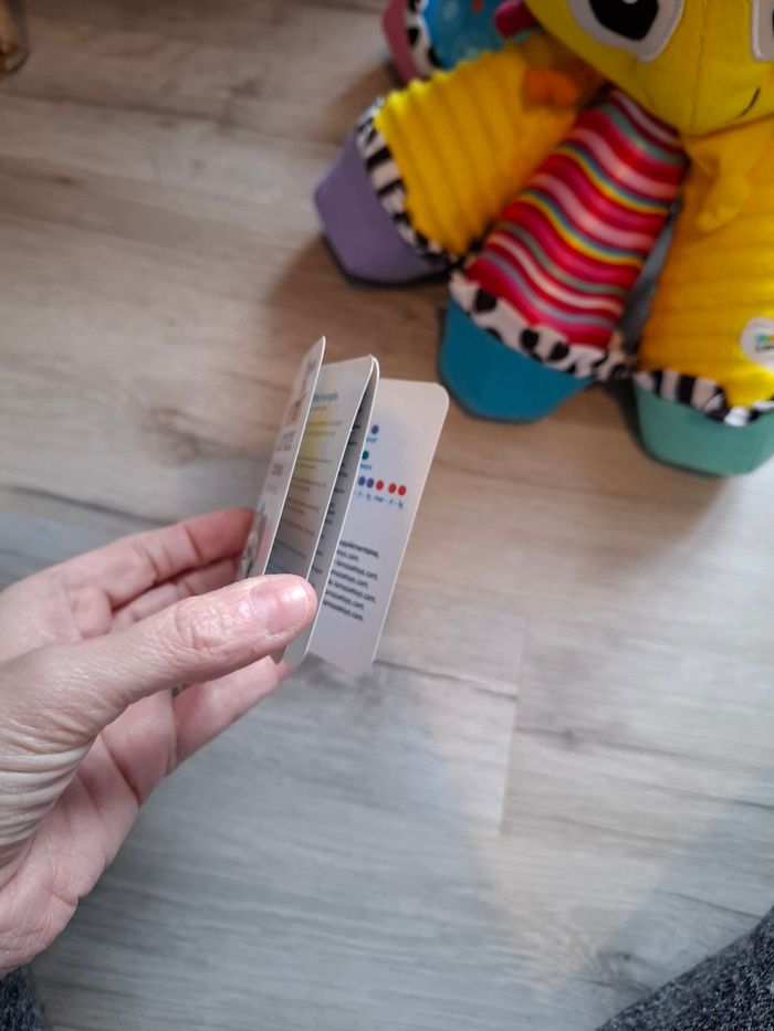 Pieuvre musicale - photo numéro 2