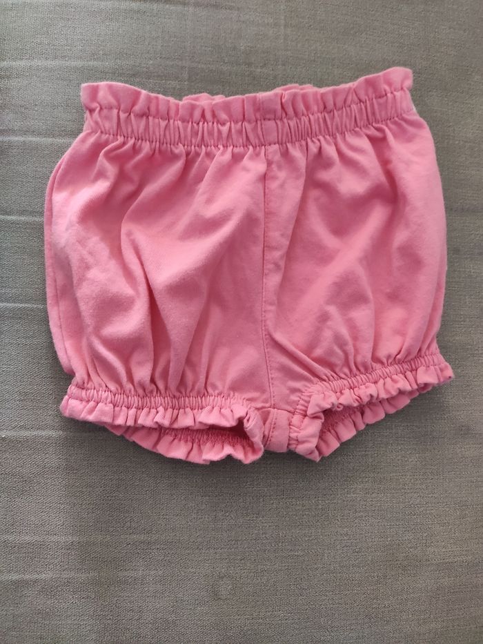 Short rose 12mois