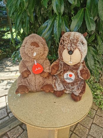 Castors lot de 2 peluches