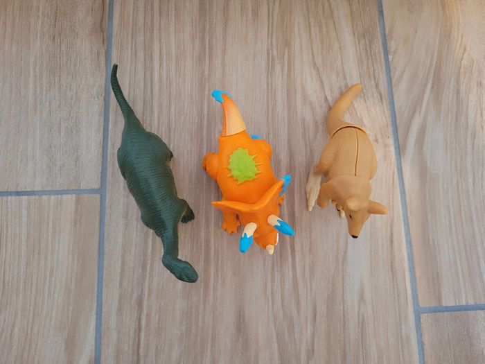 Animaux - photo numéro 2