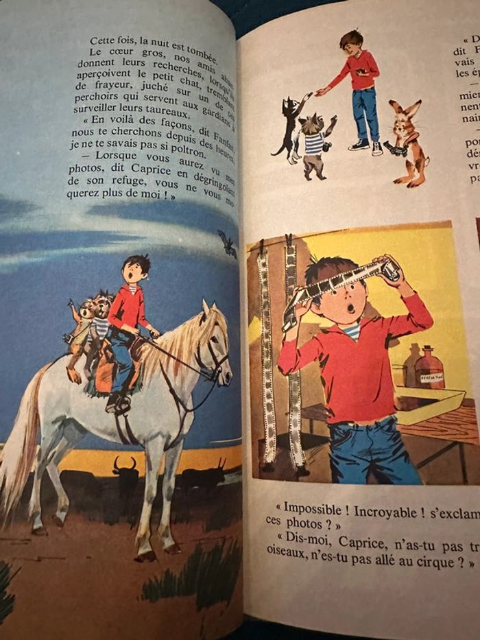 1970 Livre ancien Fanfan et l’ours de Camargue Pierre Probst Grands albums Hachette - photo numéro 8