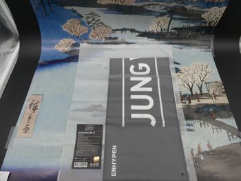 Bannière Jungwon / Enhypen