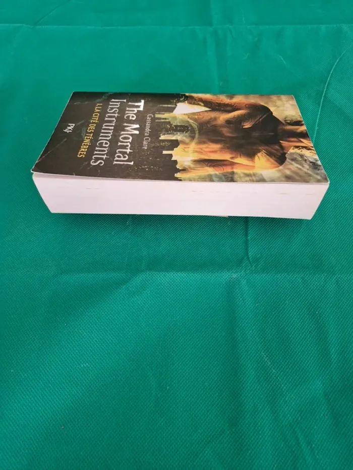 The Mortal Instruments tome 1 La Cité des Ténèbres Cassandra Clare - photo numéro 3