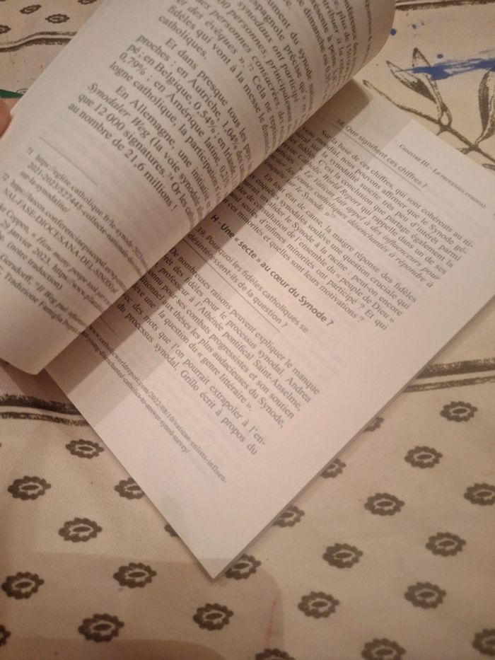 2023le processus synodal une boîte de pandore 100 questions réponses - photo numéro 7