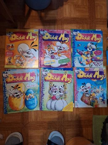 lots 22 revues diddl