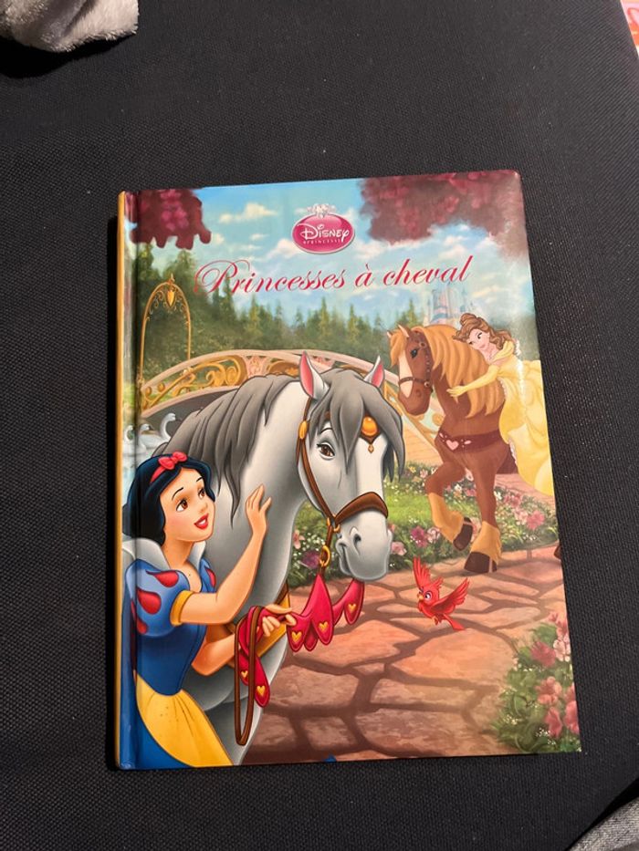 Livre pour enfants Disney princesses à cheval