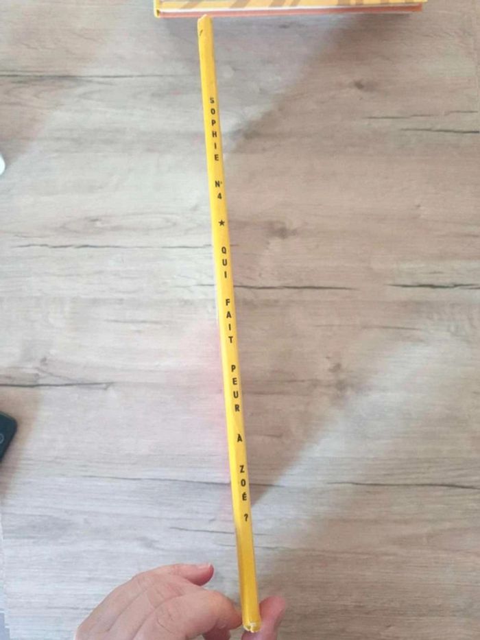 Bande dessinée Une aventure de Sophie E0 - photo numéro 2