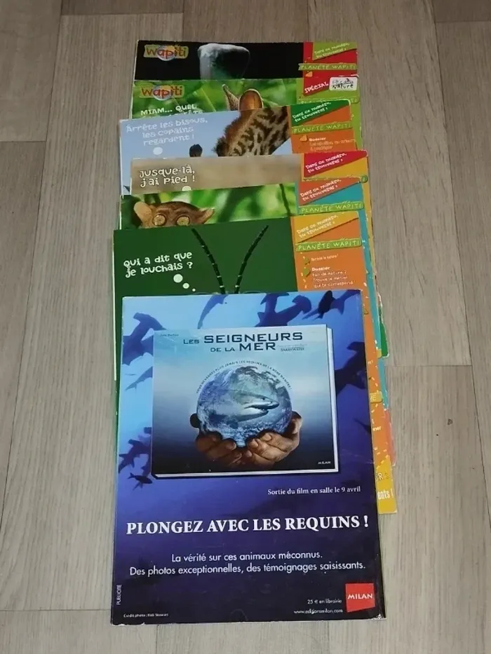 Lot de 7 magazines Wapiti année 2008 L024 - photo numéro 5