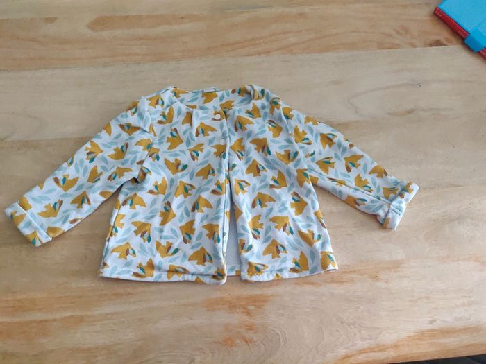 Gilet obaibi oiseaux