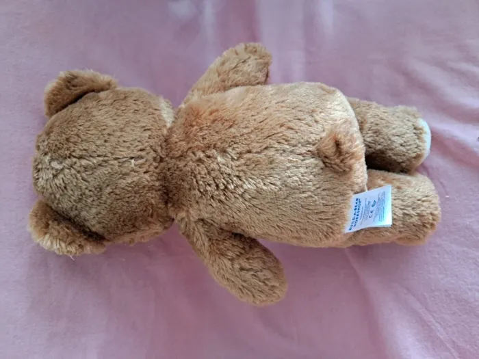 Teddy Bear - photo numéro 3