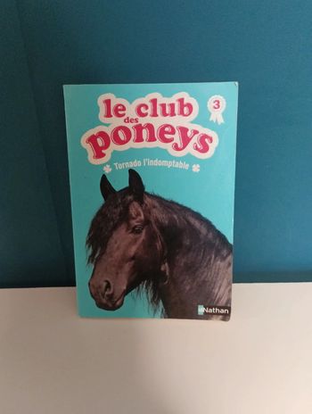 Le club des poneys : Tornado l'indomptable