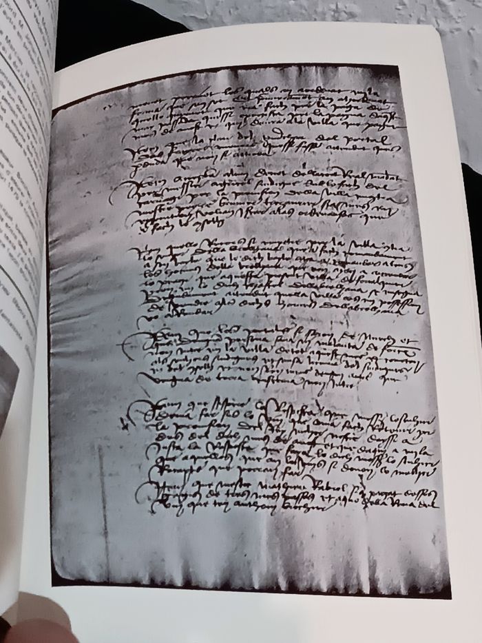 Forcalquier au temps de la peste - photo numéro 6