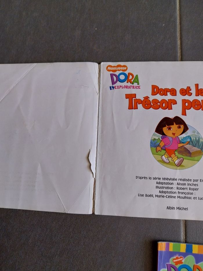 Livres Dora l'exploratrice - photo numéro 6