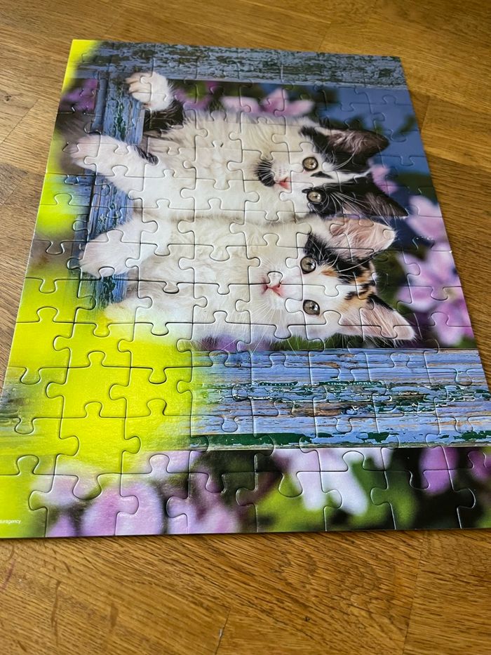 Puzzle : chatons - photo numéro 4