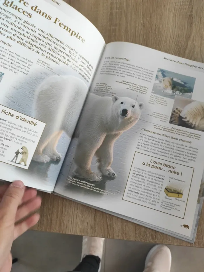 Livre édition atlas l'ours blanc - photo numéro 3