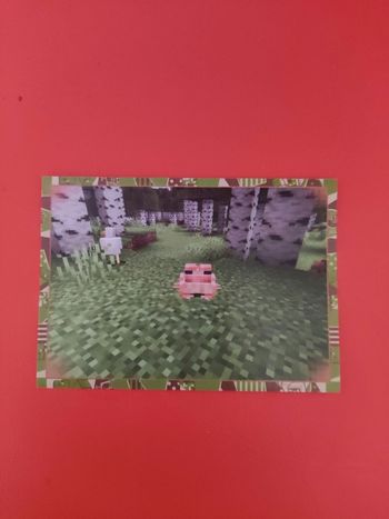 Carte sticker Minecraft panini rare