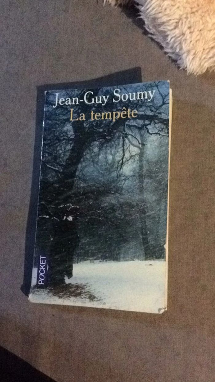 #la tempête Jean Guy Soumy - photo numéro 2