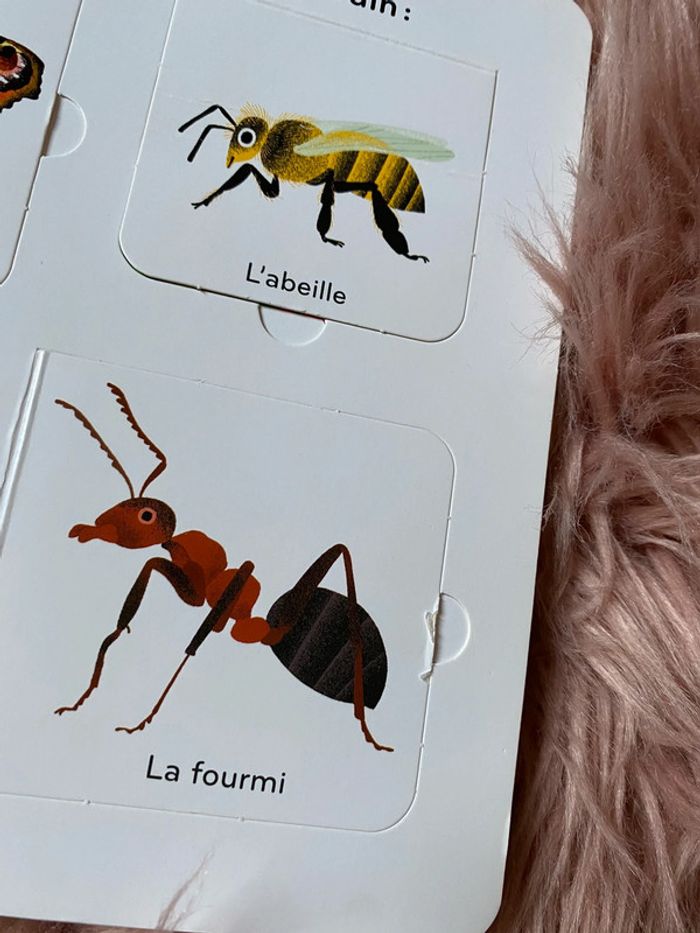 Les petites bêtes 🌸 - photo numéro 4
