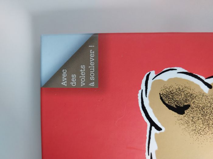 Livre jeunesse "Où es-tu Petit Ours" Greg Foley Circonflexe - photo numéro 8